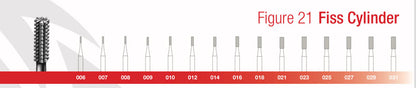 Eagle Figure 21 Fiss Cylinder Burs